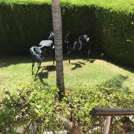 Pinsapo 别墅 埃斯特波纳