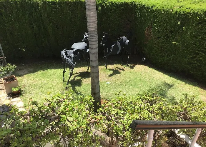 Pinsapo Villa Estepona