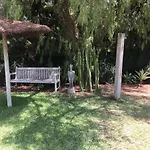 Pinsapo Villa *